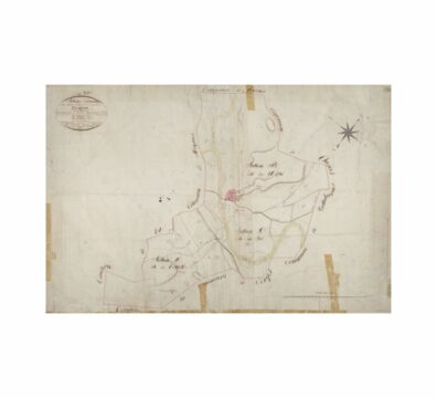 Rosalba VANDEWIELE est spécialisée dans l'exploration de nos liens profonds avec nos origines à travers : la généalogie familiale en France et en Sicile, la psychogénéalogie, l’analyse transgénérationnelle, les constellations familiales et la transcription d’actes anciens (paléographie). Le cabinet est situé à Montfrin, à proximité de Nîmes, Avignon, Beaucaire et Arles.